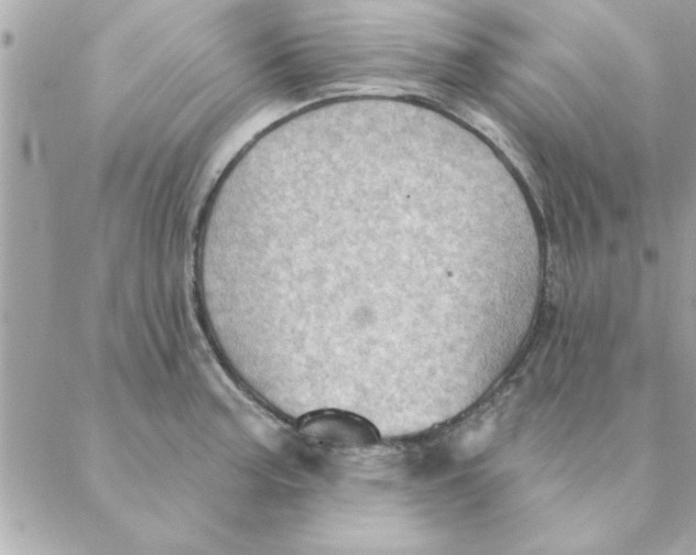 X0000088161187200706051044