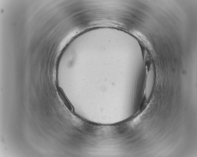 X0000088161188200706051043