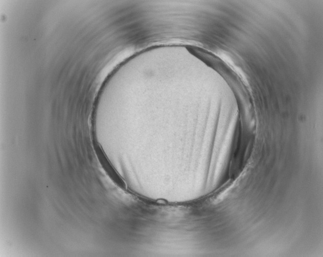 X0000088161189200706051043