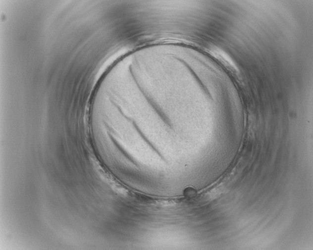 X0000088161190200706051043