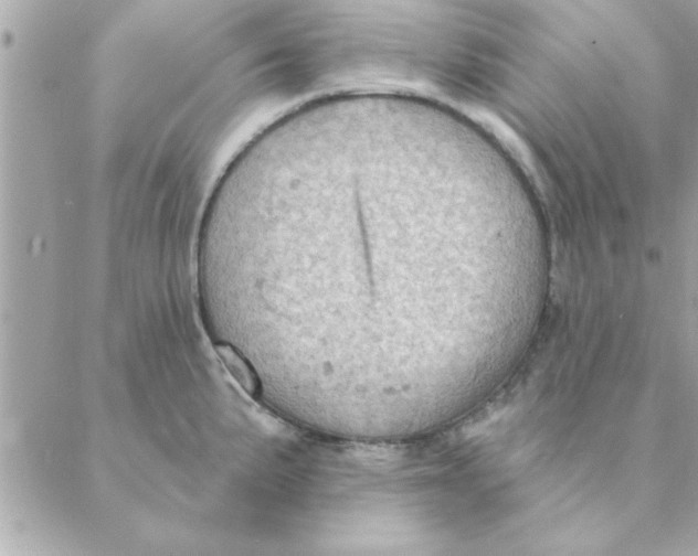 X0000088161191200706051043