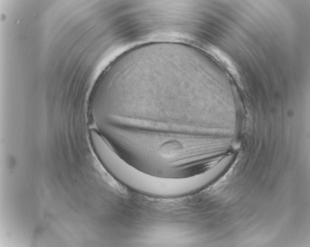 X0000088161192200706051043