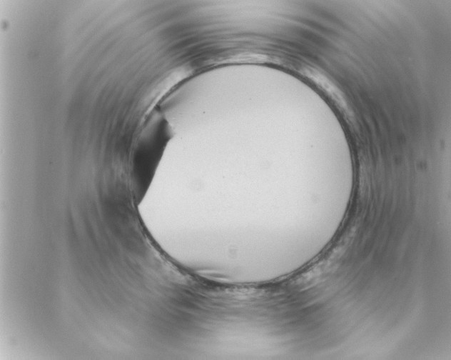 X0000088161193200706051043