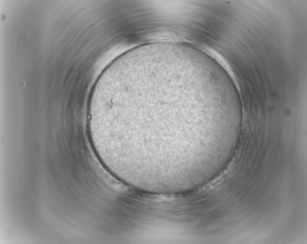 X0000088161195200706051043