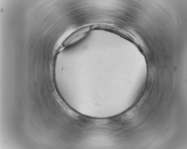 X0000088161196200706051043