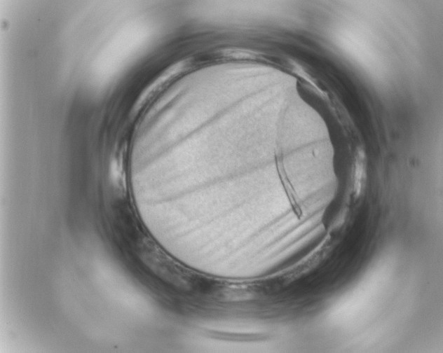 X0000088161198200706051043