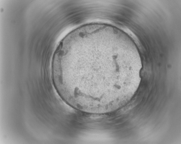 X0000088161199200706051043