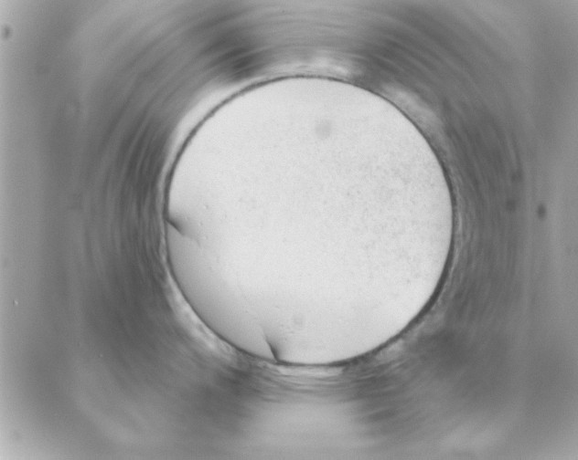 X0000088161200200706051043