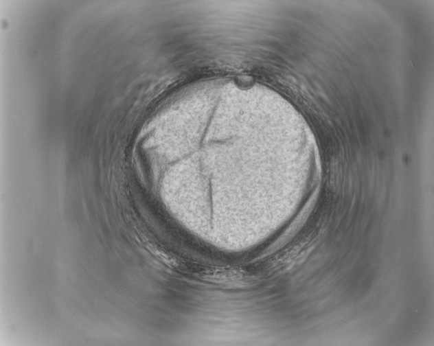 X0000088161201200706051043