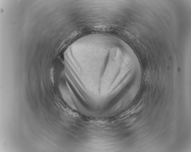 X0000088161202200706051043