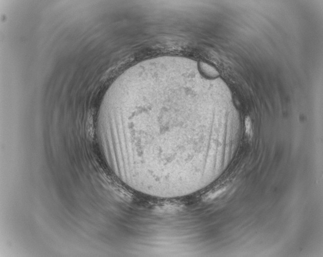 X0000088161203200706051043