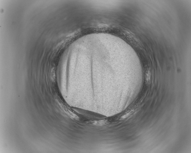 X0000088161204200706051043