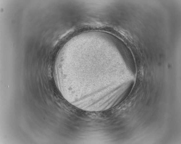 X0000088161205200706051043