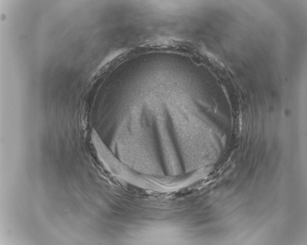 X0000088161206200706051043