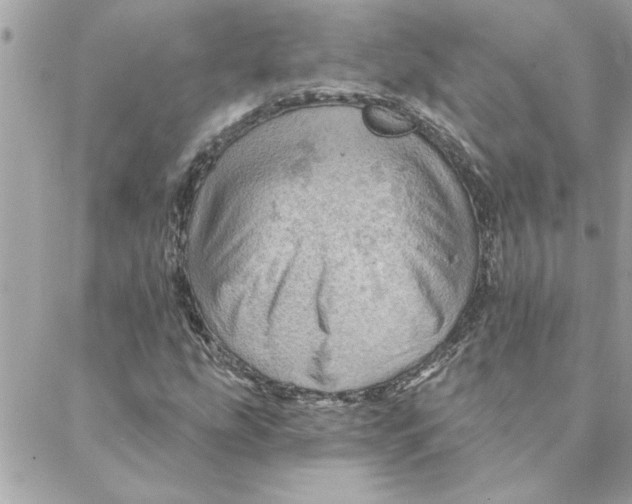 X0000088161207200706051043