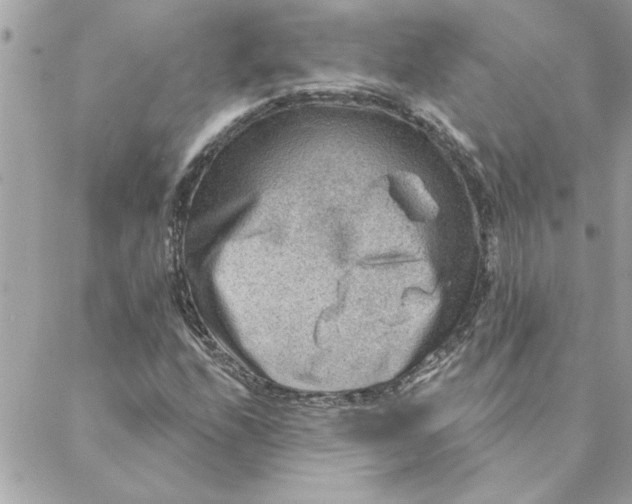 X0000088161208200706051043