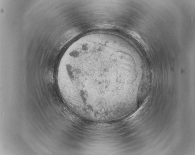 X0000088161209200706051043