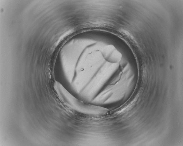 X0000088161210200706051043