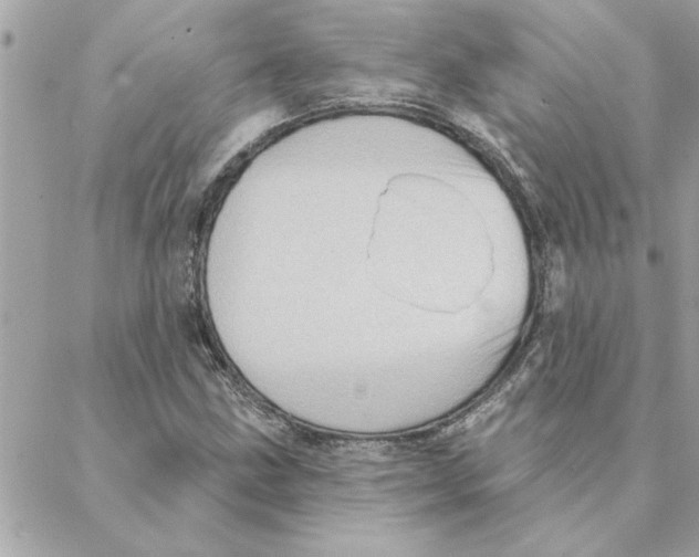 X0000088161211200706051043