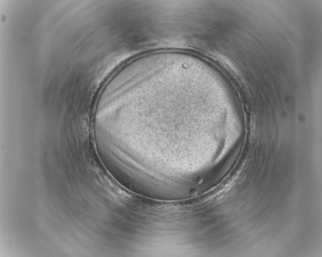 X0000088161212200706051043