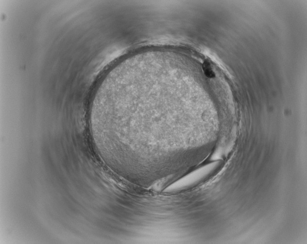 X0000088161213200706051043