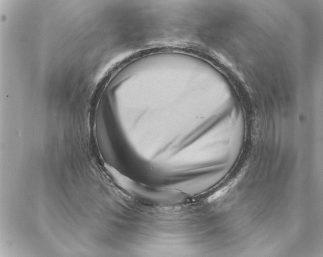 X0000088161214200706051043