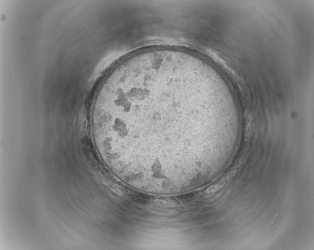 X0000088161215200706051043