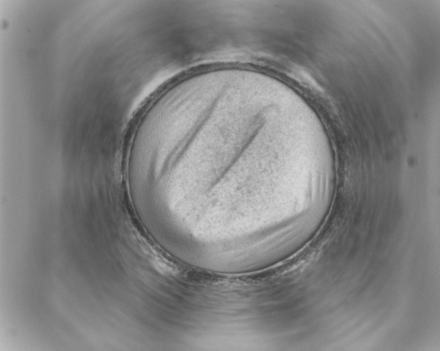 X0000088161216200706051043