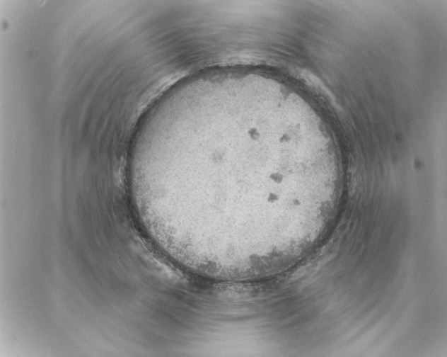 X0000088161217200706051043