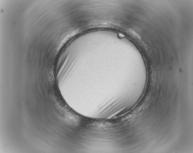 X0000088161218200706051043