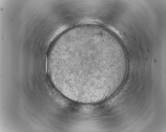 X0000088161219200706051043