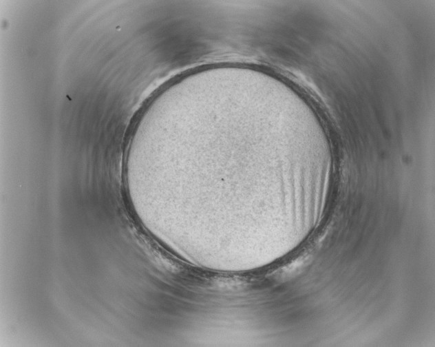 X0000088161220200706051043