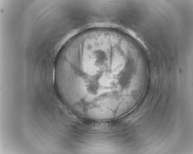 X0000088161221200706051043