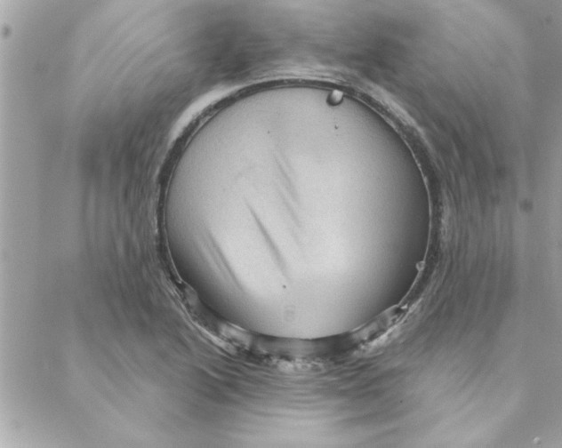 X0000088161222200706051043