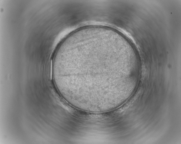 X0000088161223200706051043