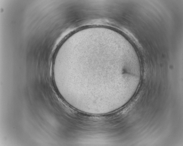 X0000088161224200706051043