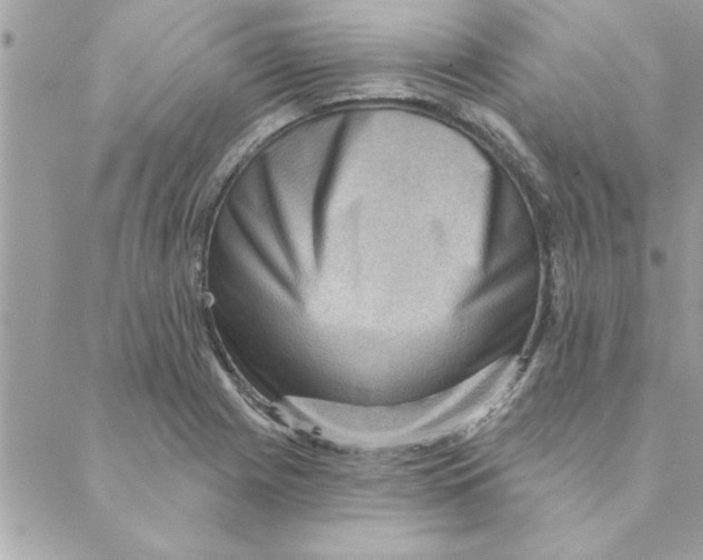 X0000088161225200706051043