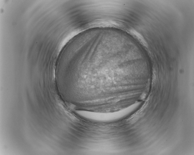 X0000088161226200706051043