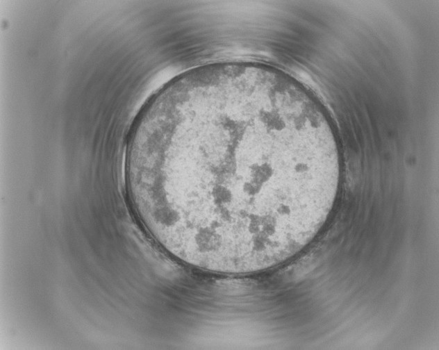 X0000088161227200706051043