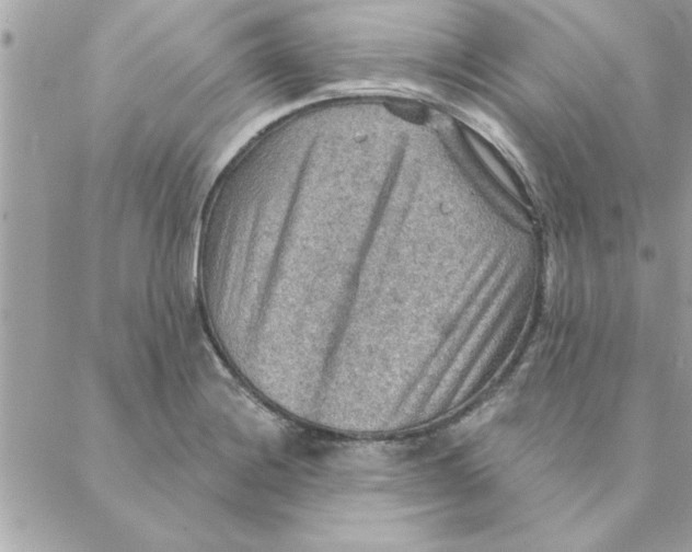 X0000088161228200706051043