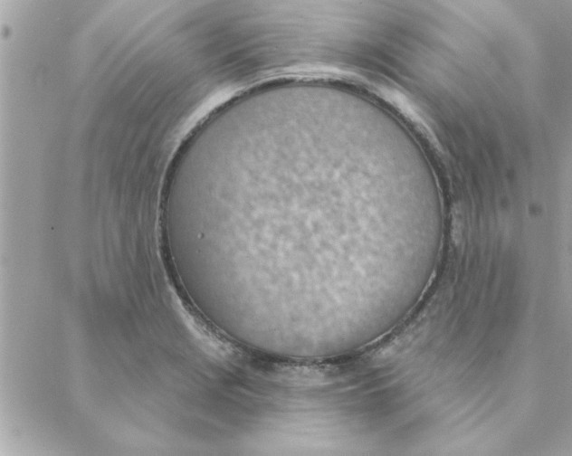 X0000088161229200706051043