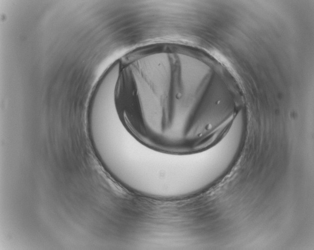 X0000088161230200706051043