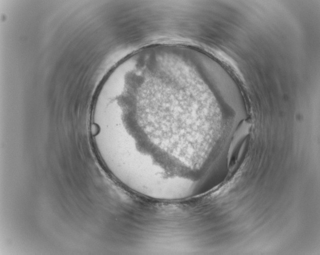 X0000088161231200706051043