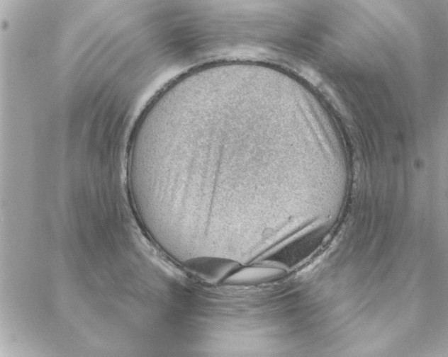 X0000088161232200706051043