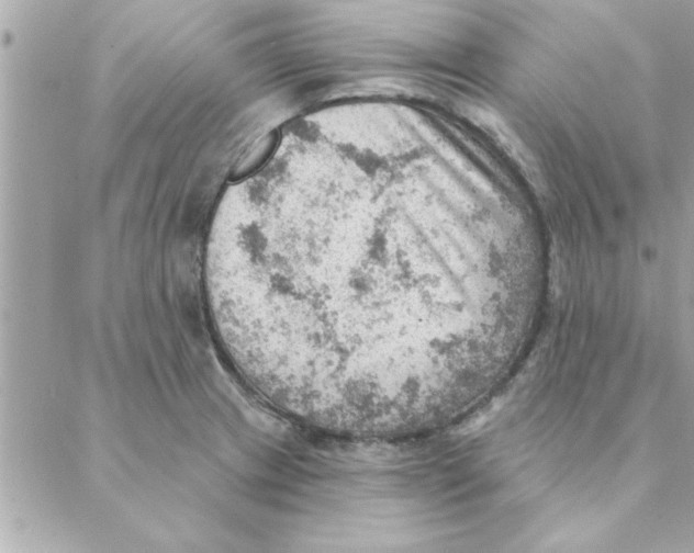 X0000088161233200706051043