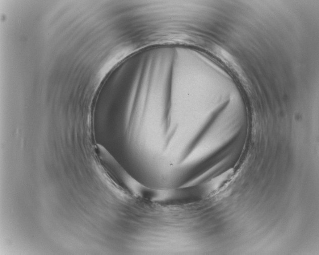 X0000088161234200706051043