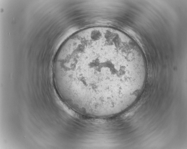 X0000088161235200706051043