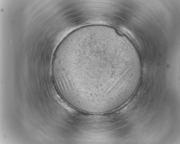 X0000088161236200706051043