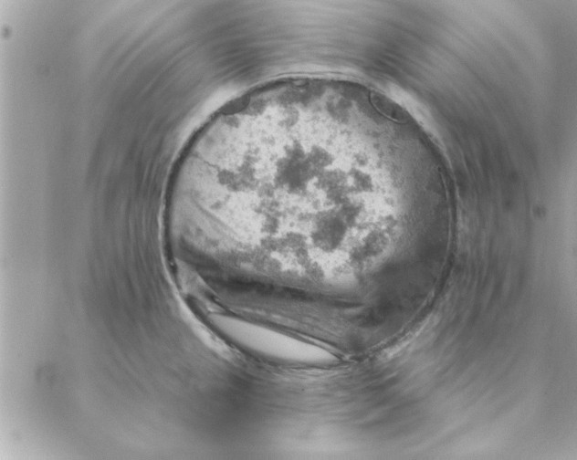 X0000088161237200706051043