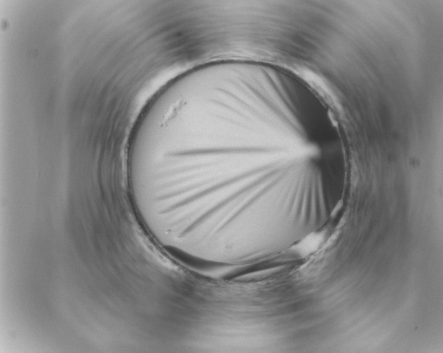 X0000088161238200706051043